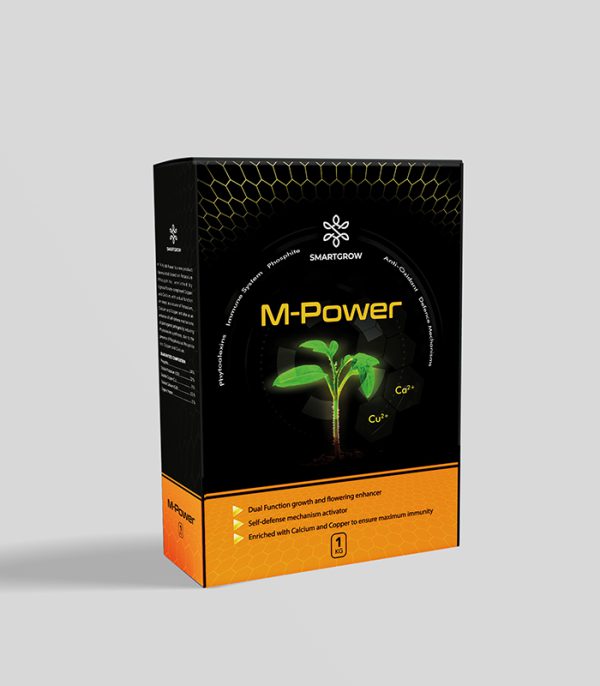 ام پاور (M-Power)
