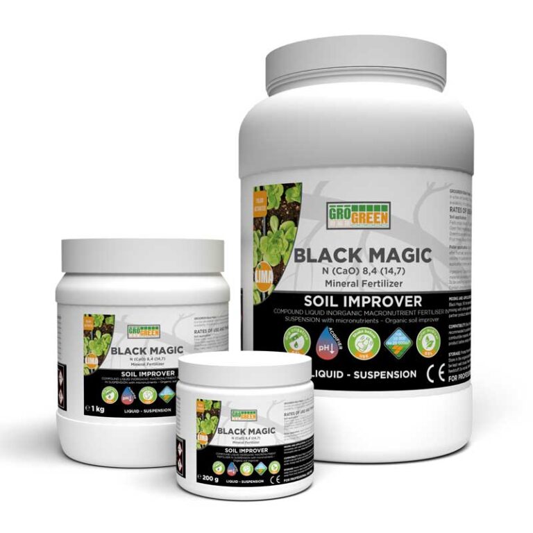 بلک مجیک (Black Magic)